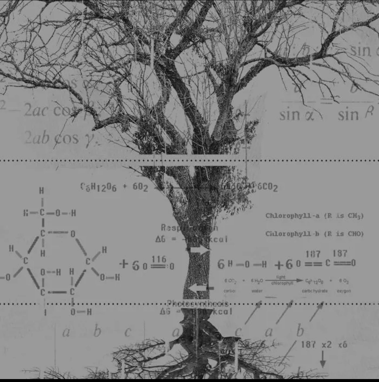 Tree Schematics T-Shirt