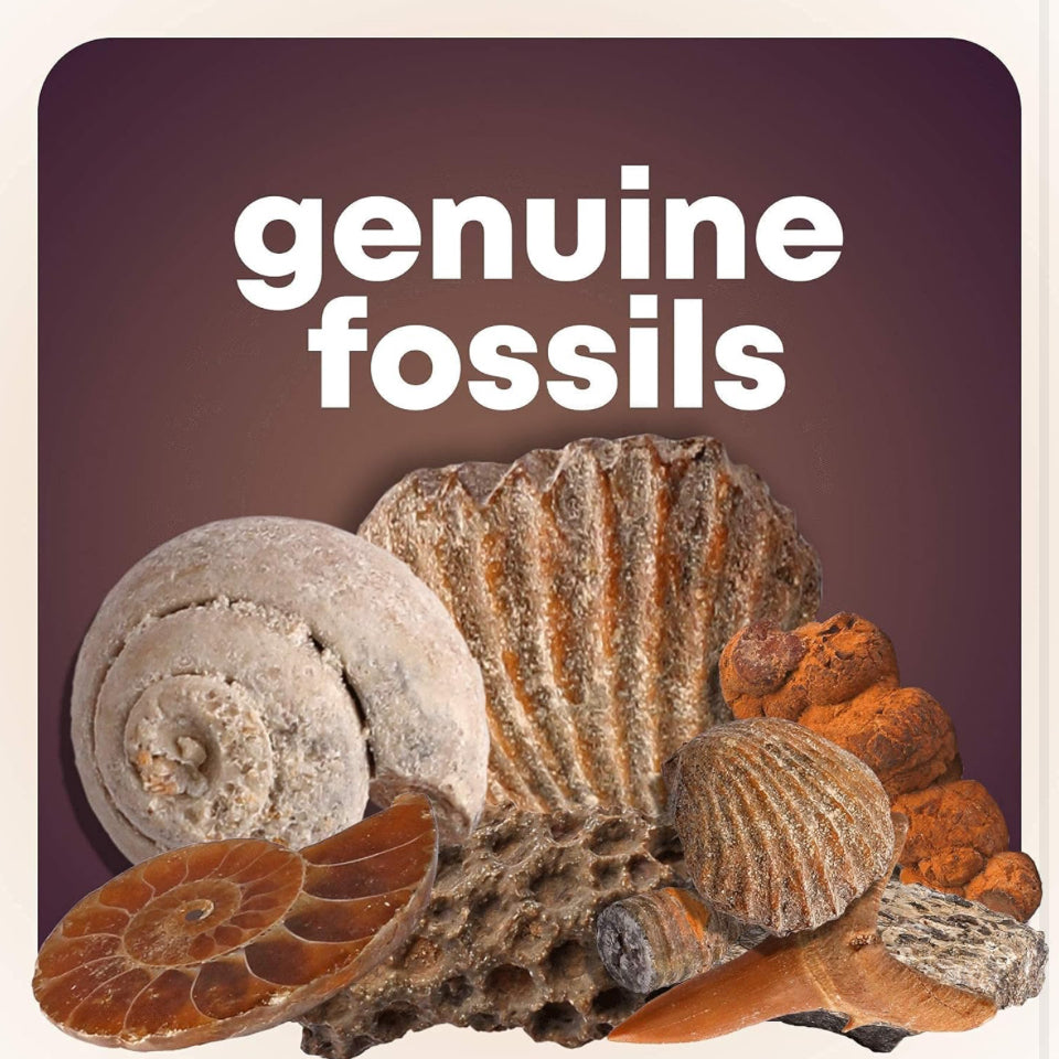 Rock, Fossil & Mineral Activity Kit