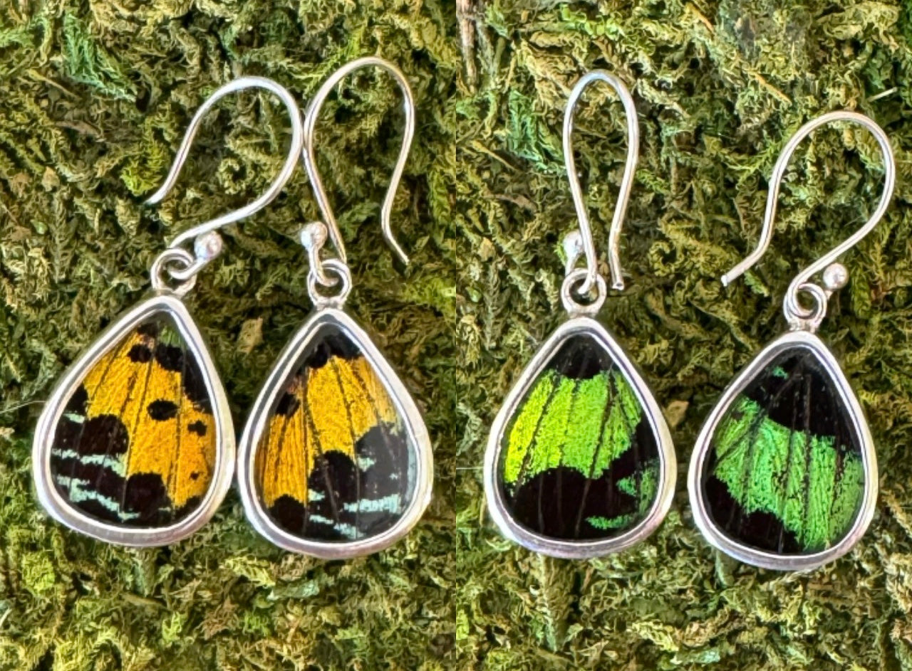 Butterfly Wing Earrings