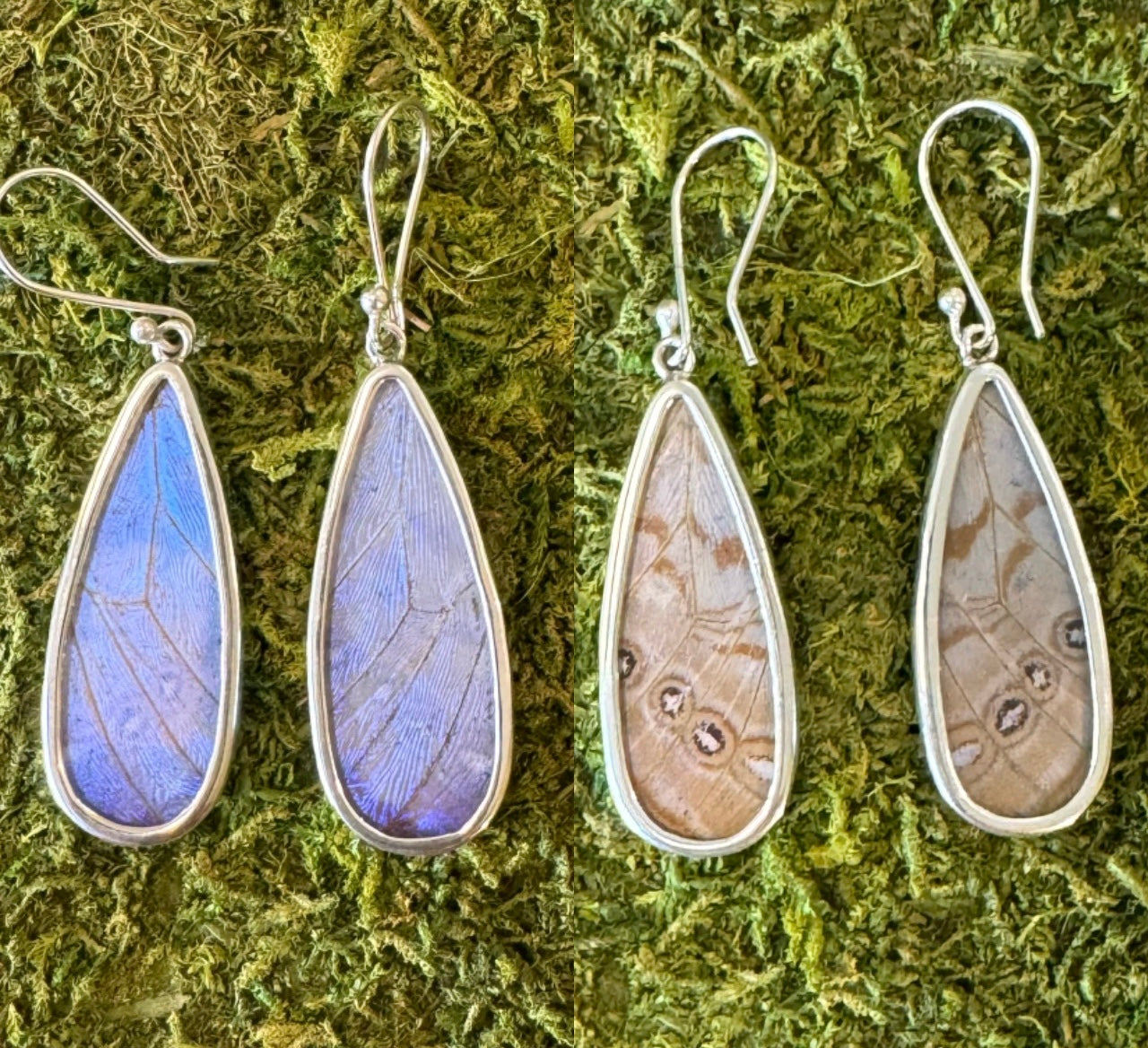 Butterfly Wing Earrings