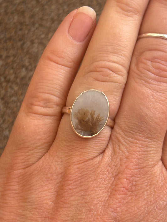 Scenic Agate Ring | Size 8