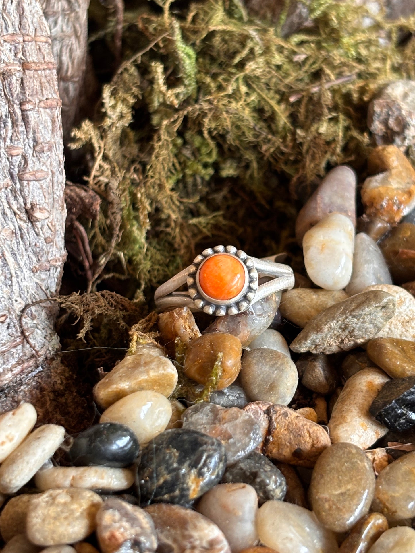 Spiny Oyster Ring | Size 7