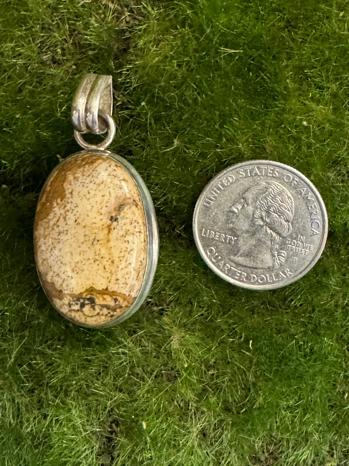 Petrified Wood Pendant