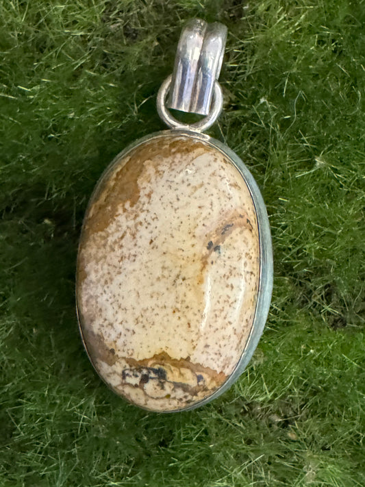 Petrified Wood Pendant