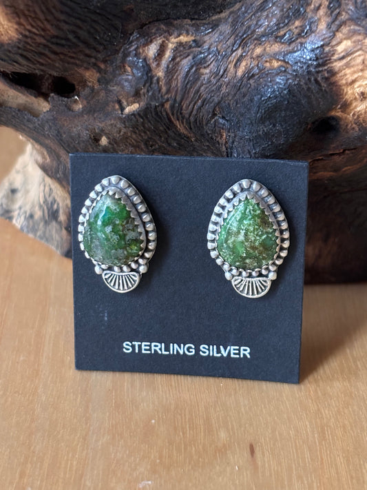 Sonoran Gold Turquoise post Earrings