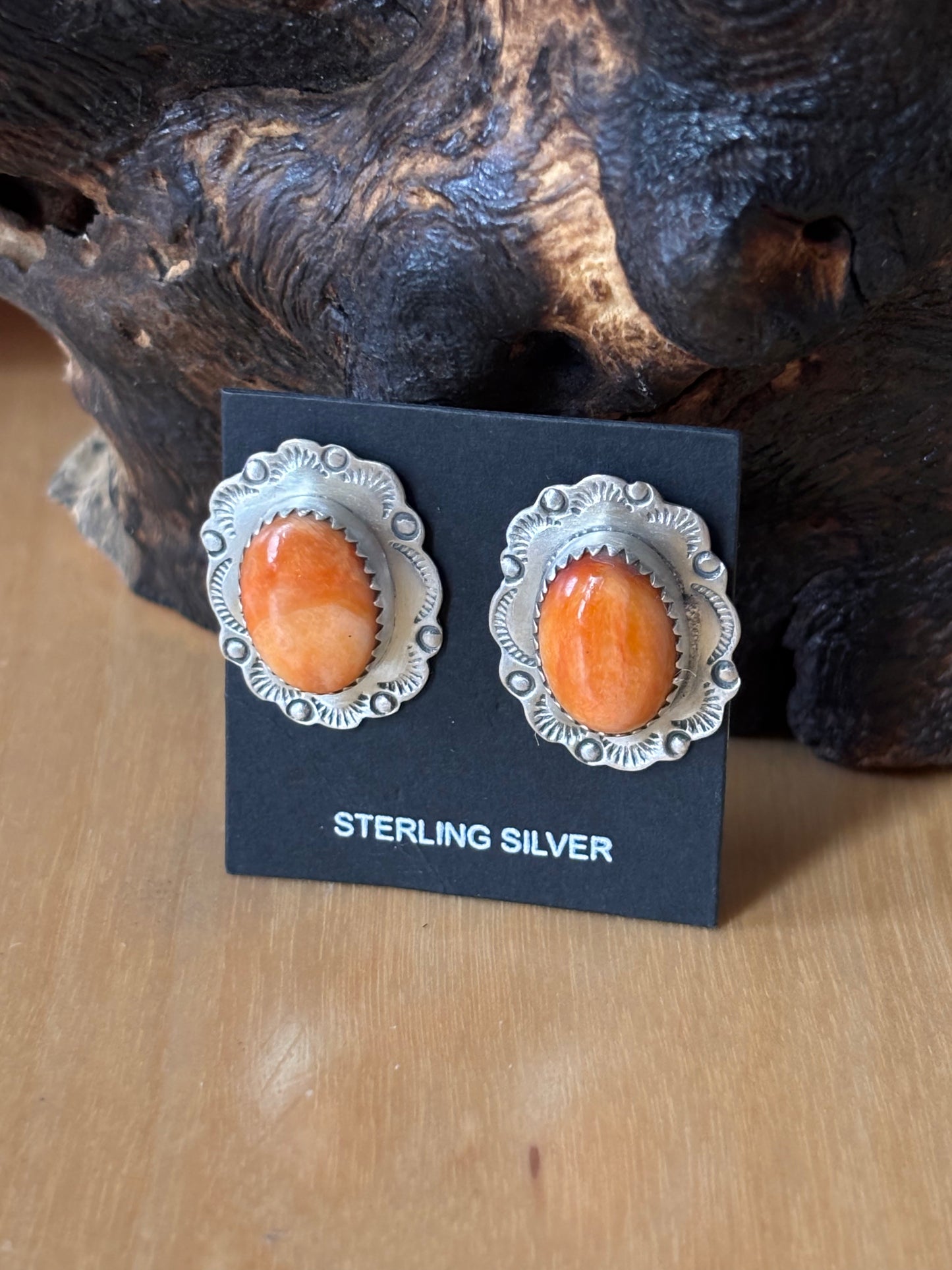Spiny Oyster post Earrings