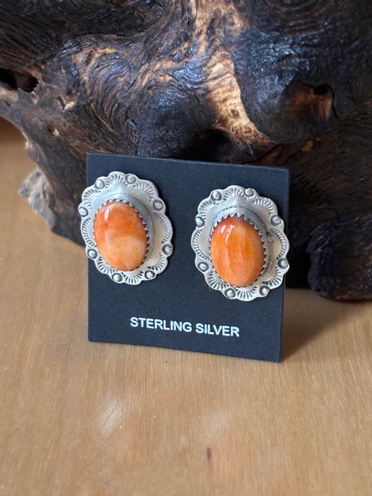 Spiny Oyster post Earrings