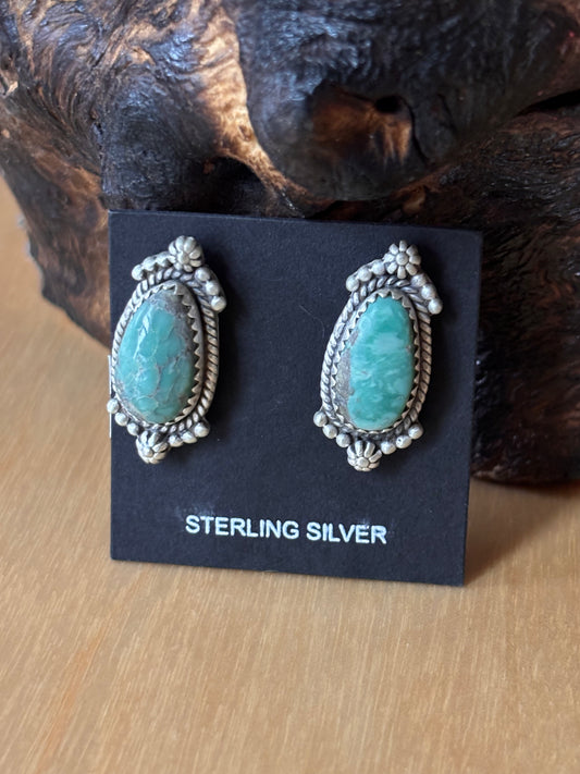 Broken Arrow Variscite post Earrings