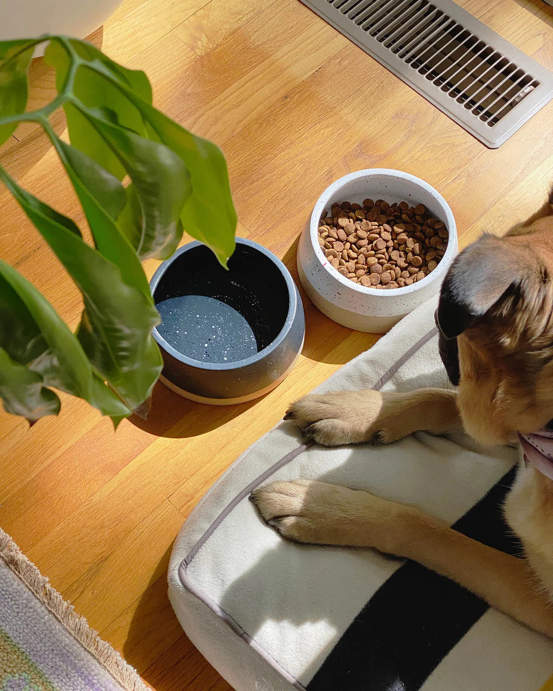 Stoneware Dog Bowl