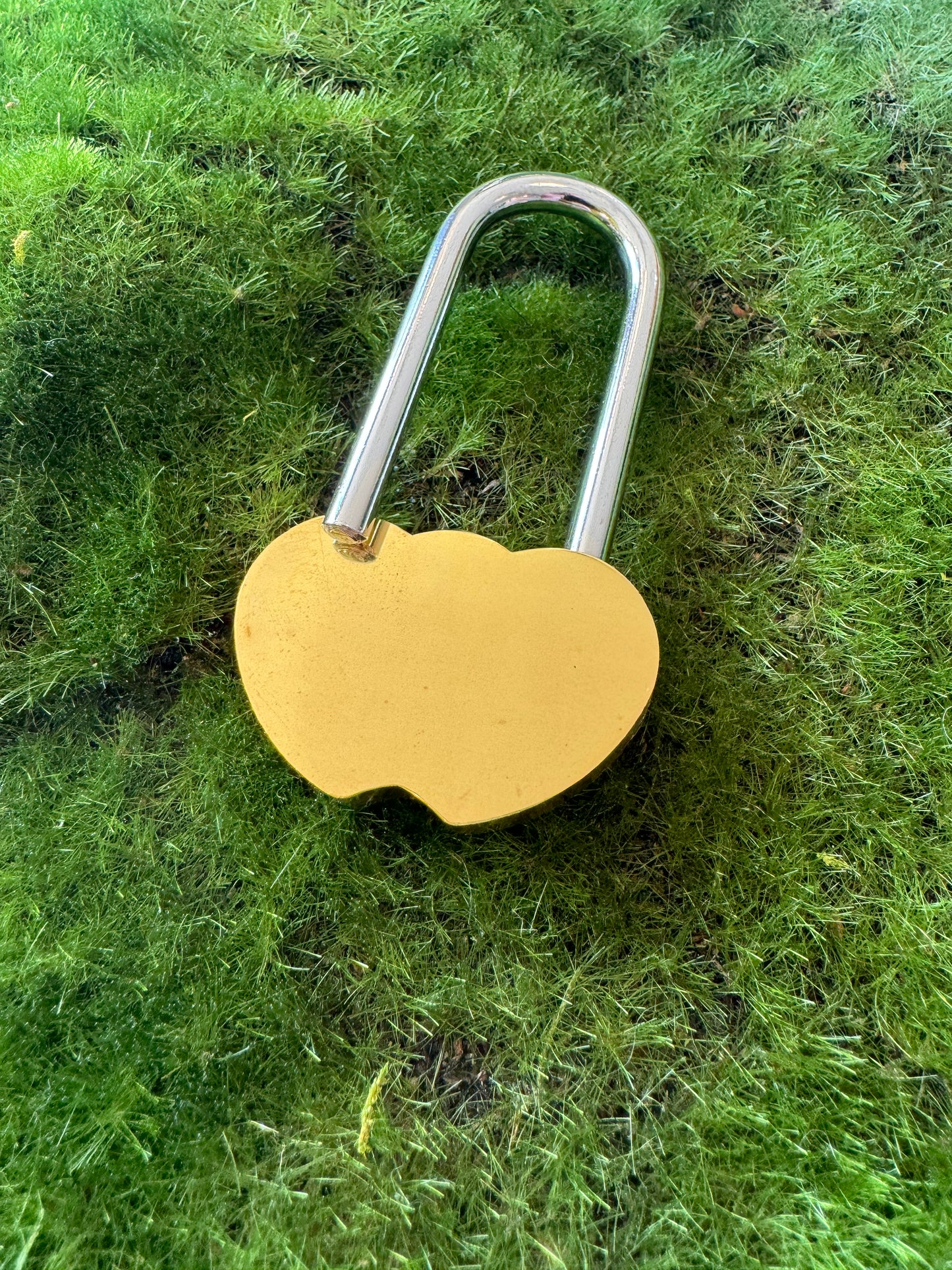 Love Locks