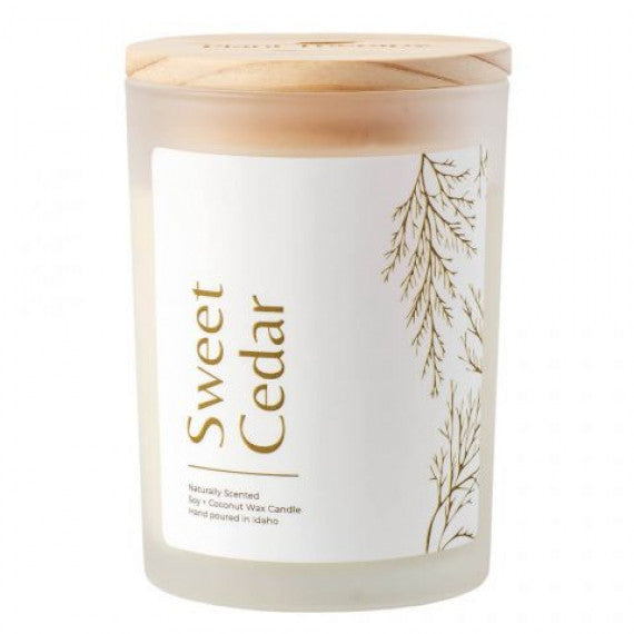 Plant Therapy Sweet Cedar Candle