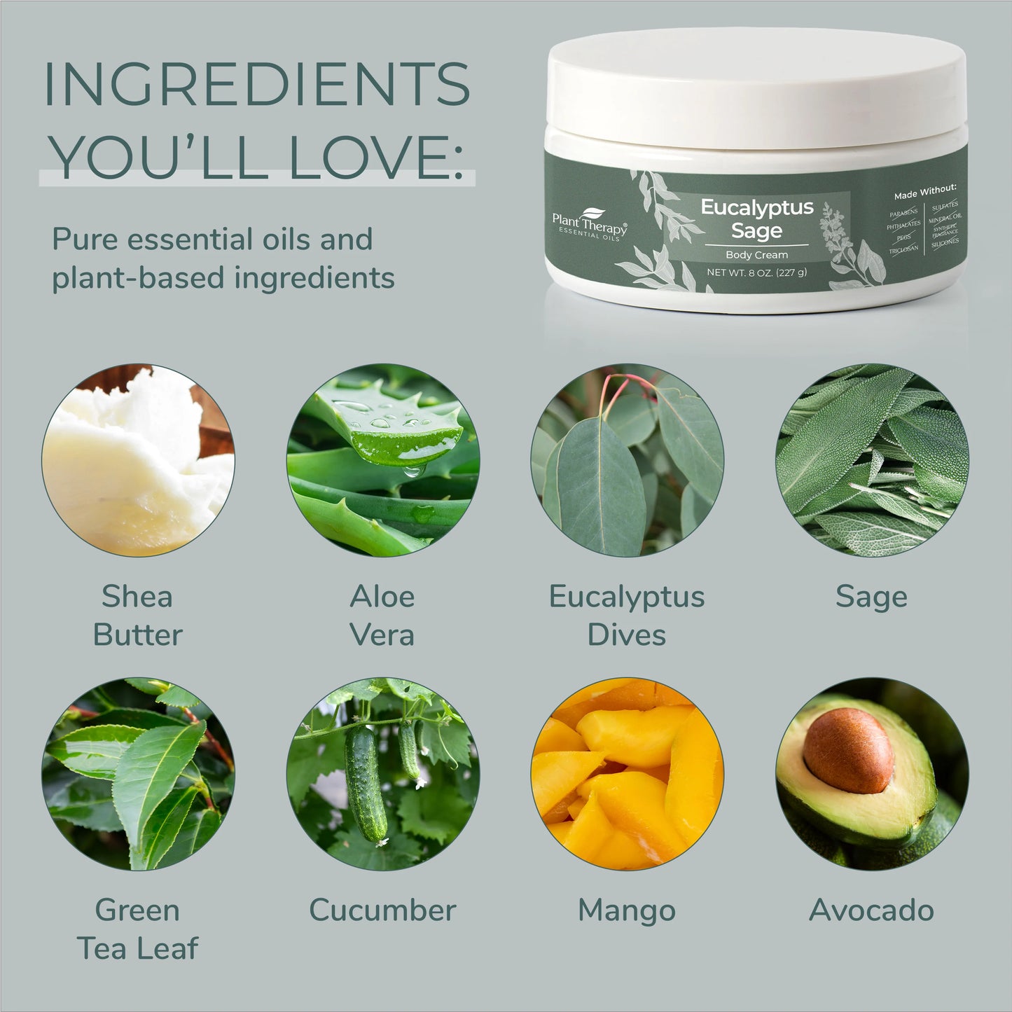 Plant Therapy Body Cream