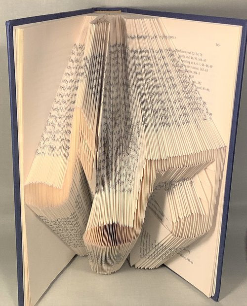 Sculpted Books