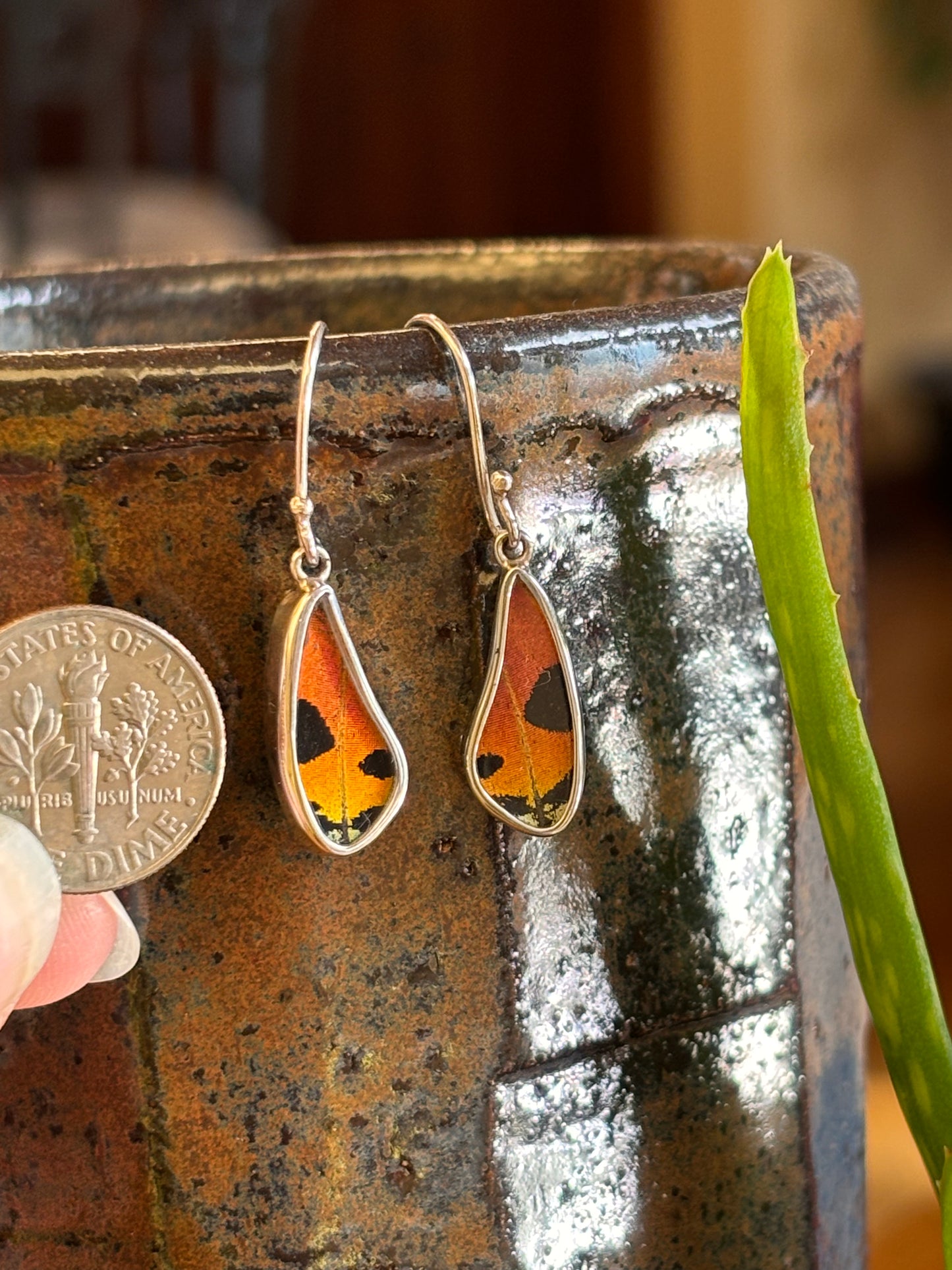 Butterfly Wing Earrings