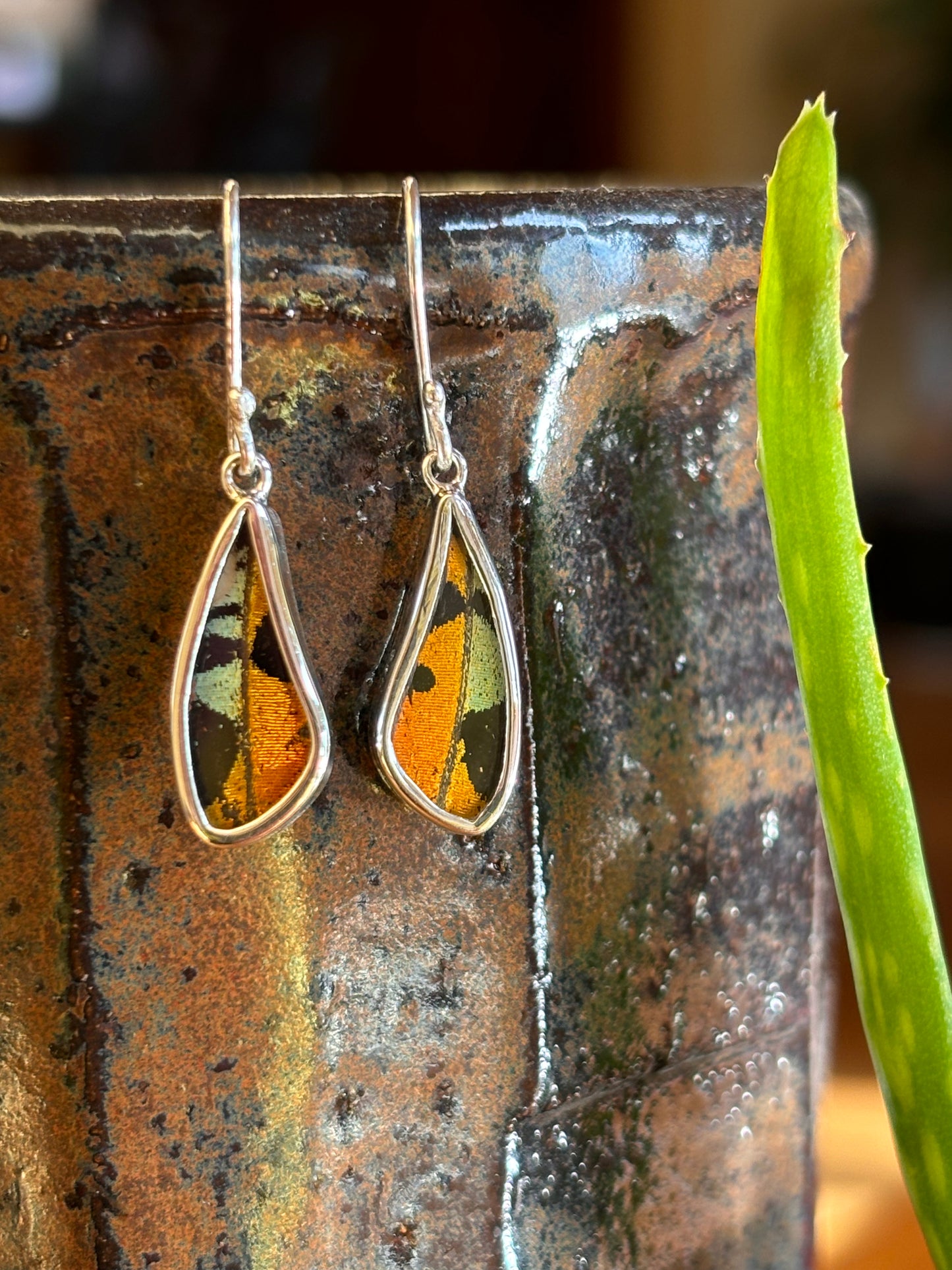 Butterfly Wing Earrings