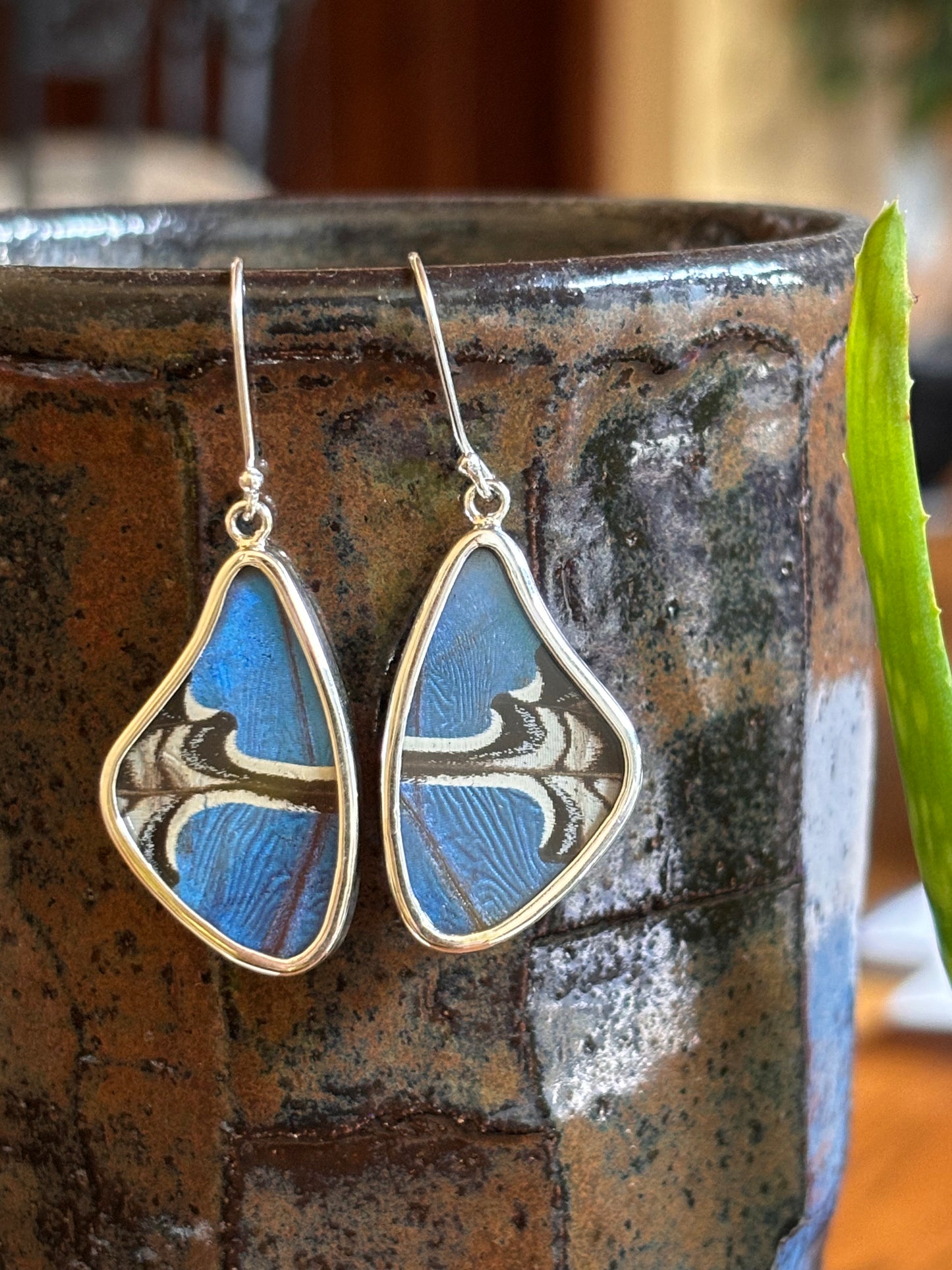 Butterfly Wing Earrings