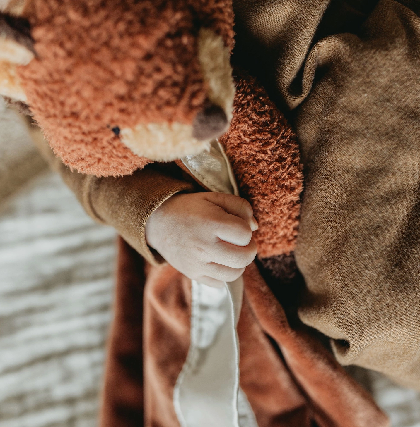 Fox Buddy Blanket