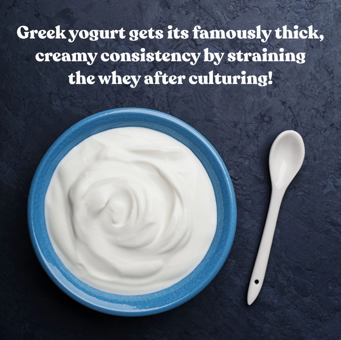 Greek Yogurt Starter Culture