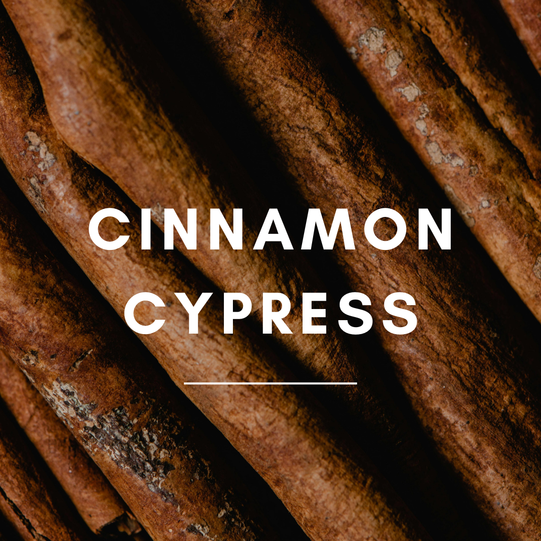 1 oz Reed Diffuser - Cinnamon Cypress