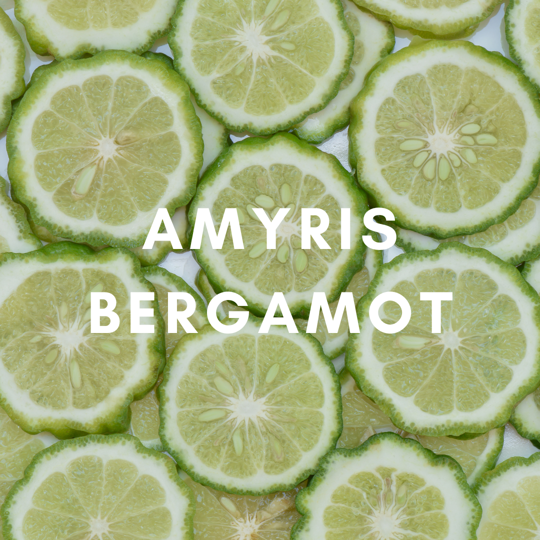 1 oz Reed Diffuser - Amyris Bergamot