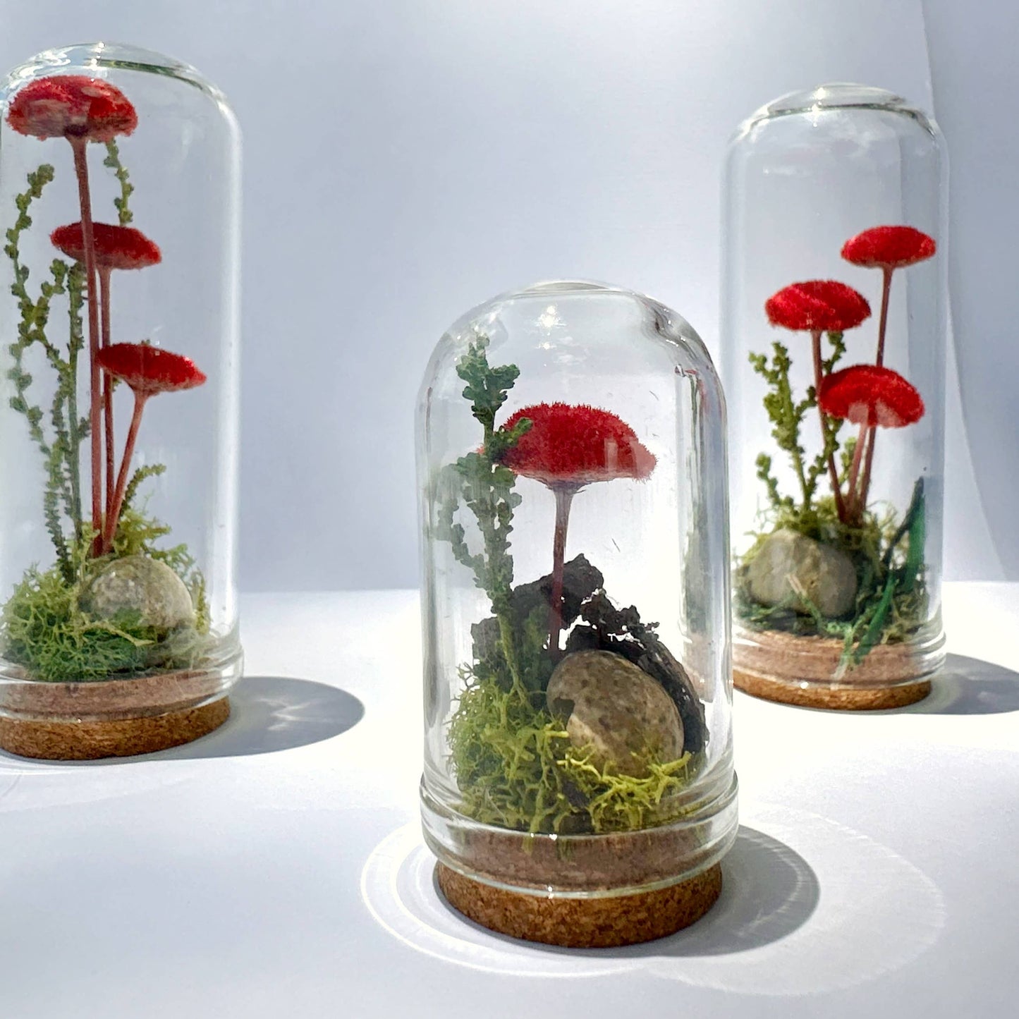 Mushroom Fields Mini Terrarium Desk Decor With Dried Florals