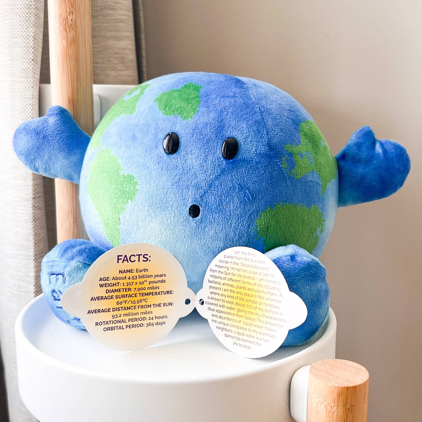 Little Earth Buddy Planetary Plush