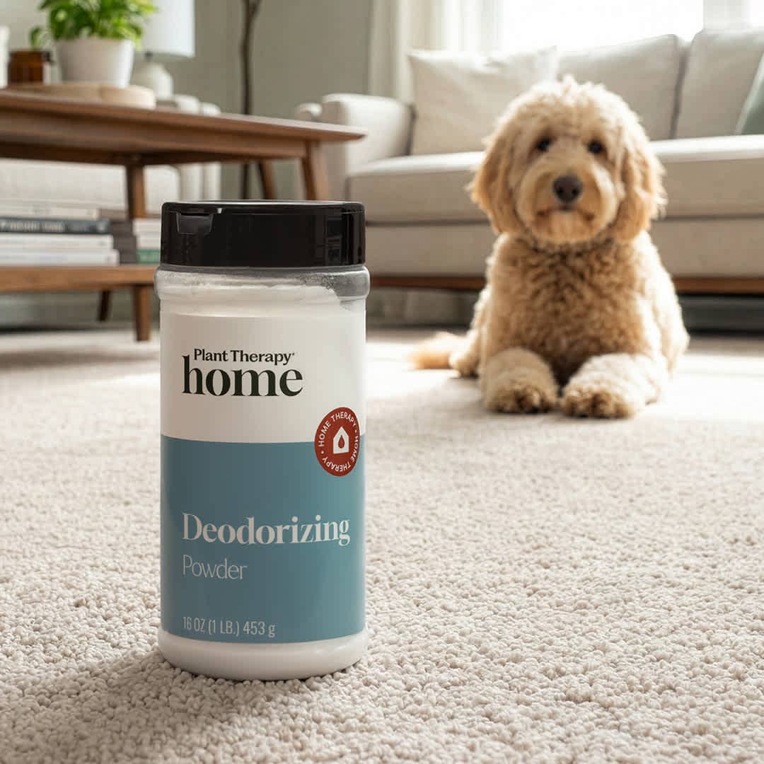Deodorizing Powder 16 oz