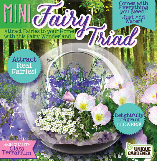 Mini Fairy Triad Glass Terrarium