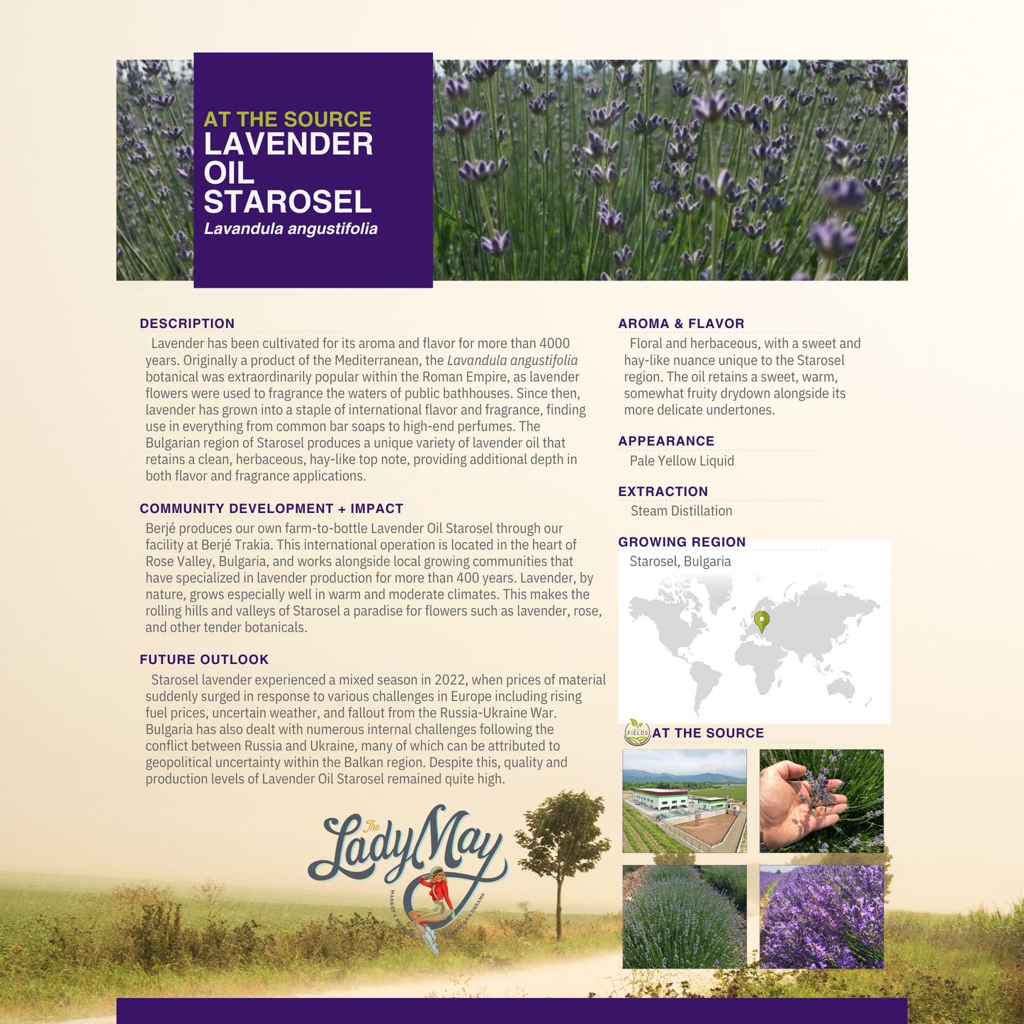 Lavender Whipped Tallow Moisturizer