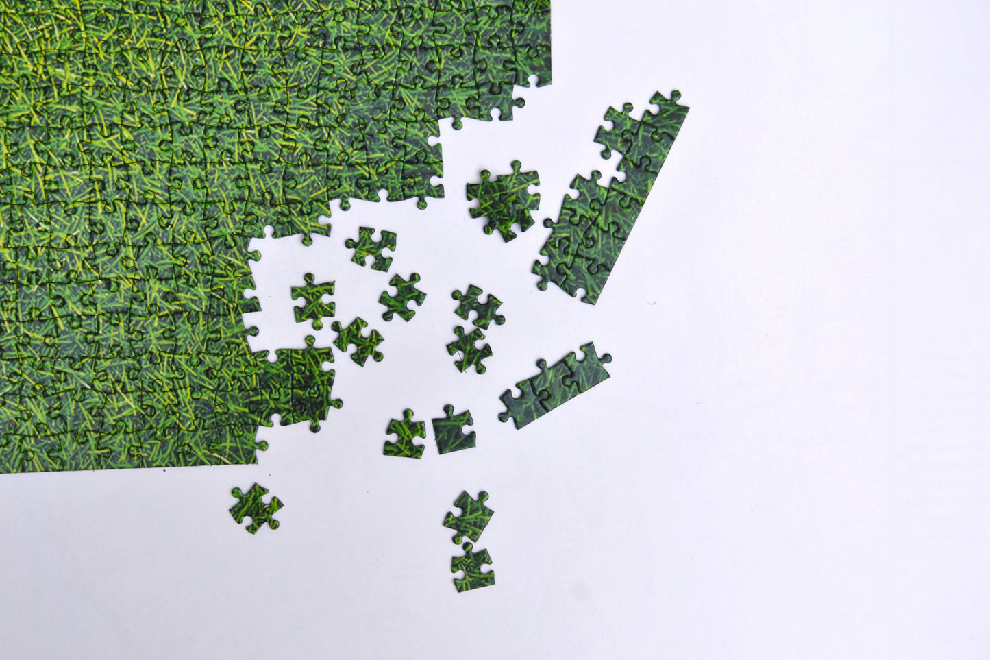 Natural Grass 1000 Piece Jigsaw Puzzle