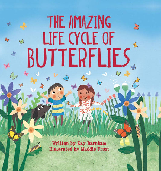 Amazing Life Cycle of Butterflies