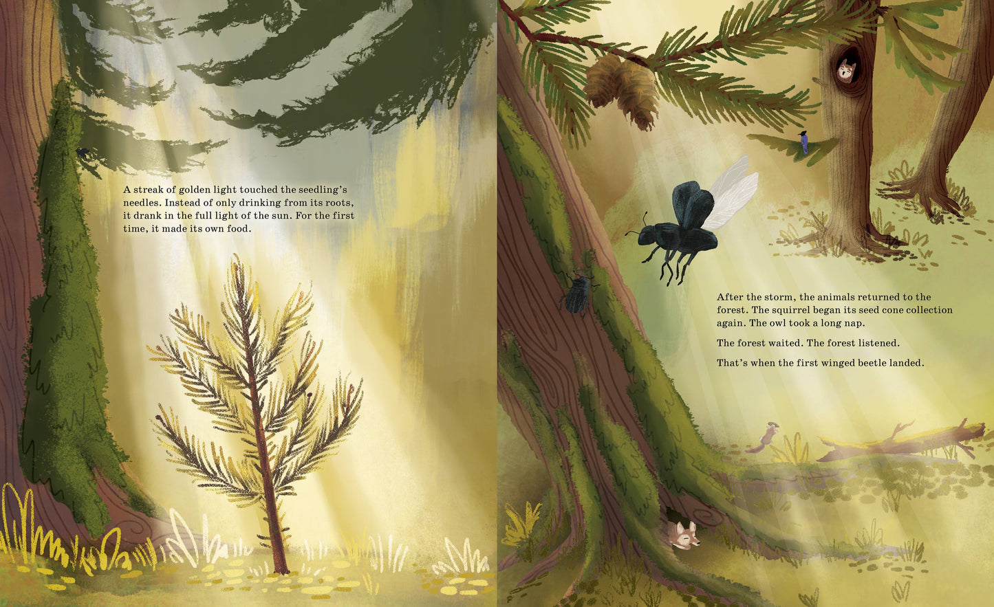 Listen to the Language of the Trees