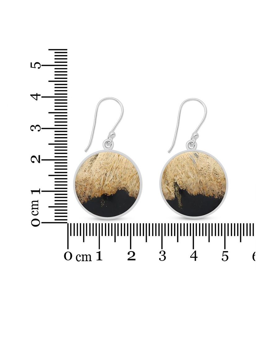 Petrified Palm Wood Earrings